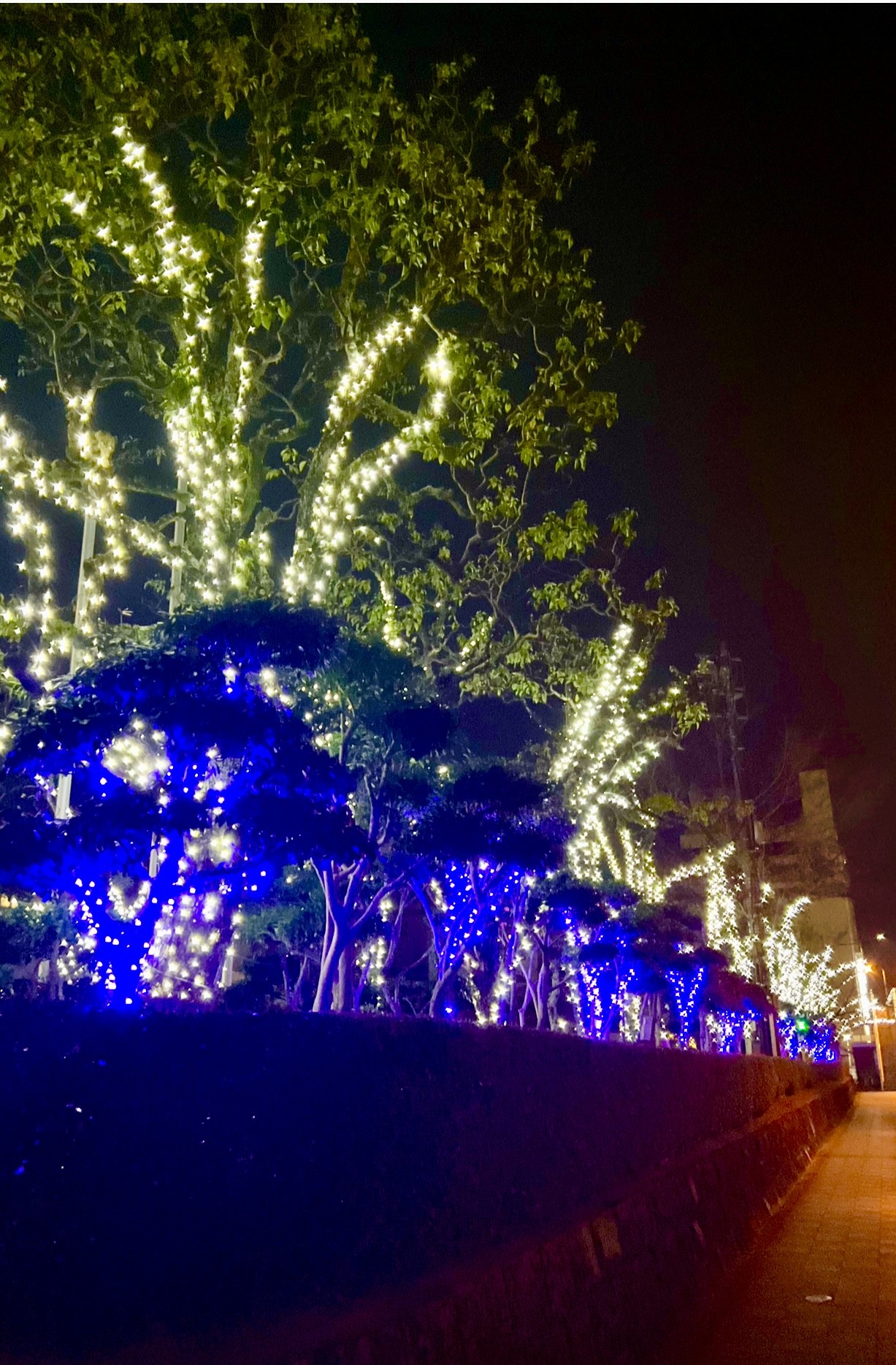 とくぎんトモニアリーナ